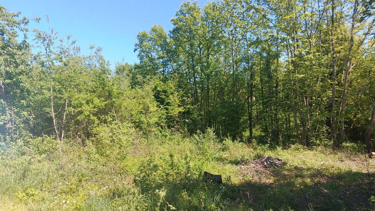 Z-654, PAZIN – STANCIJA PATAJ, Stavbno zemljišče 1488 m²