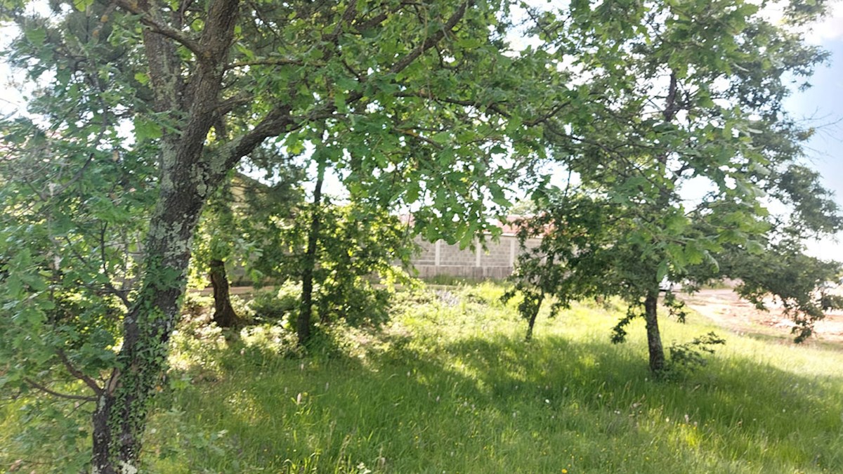Z-655, Tinjan – okolica (pribl. 3 km): Stavbno zemljišče z dodatnim kmetijskim zemljiščem
