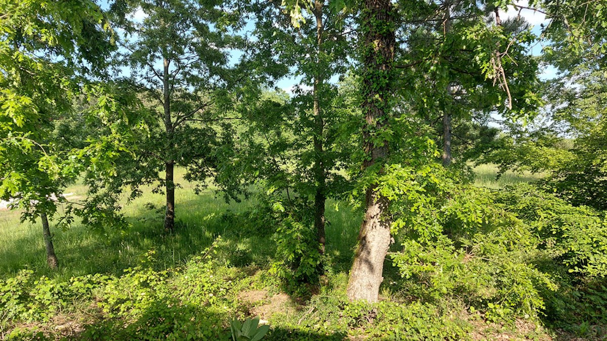Z-655, Tinjan – okolica (pribl. 3 km): Stavbno zemljišče z dodatnim kmetijskim zemljiščem