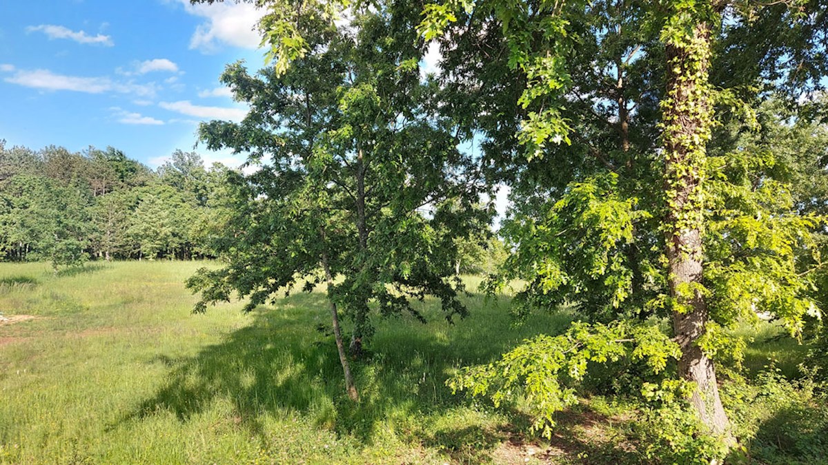 Z-655, Tinjan – okolica (pribl. 3 km): Stavbno zemljišče z dodatnim kmetijskim zemljiščem