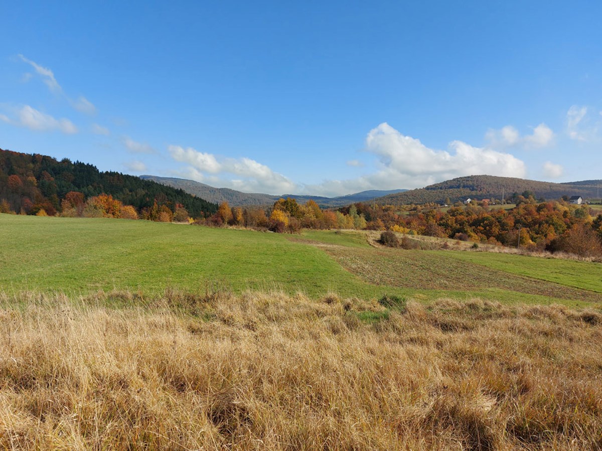 Prodaja, okolica Vrbovskega – Hiša za prenovo, možnost dodatne gradnje, panoramski razgled GK-001