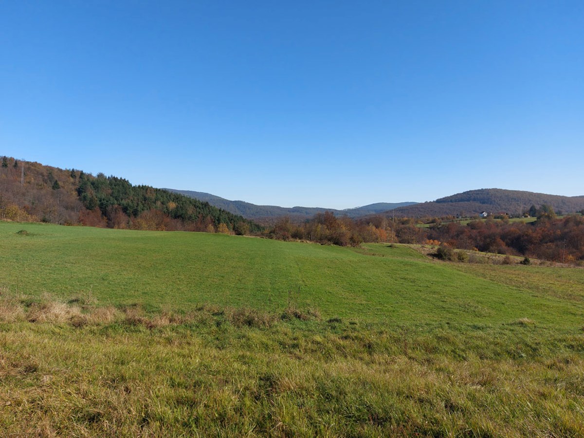 Prodaja, okolica Vrbovskega – Hiša za prenovo, možnost dodatne gradnje, panoramski razgled GK-001