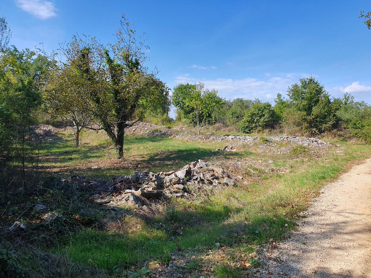 Z-645, RAPAVEL pri Višnjanu, stavbno zemljišče na mirni lokaciji 808 m2