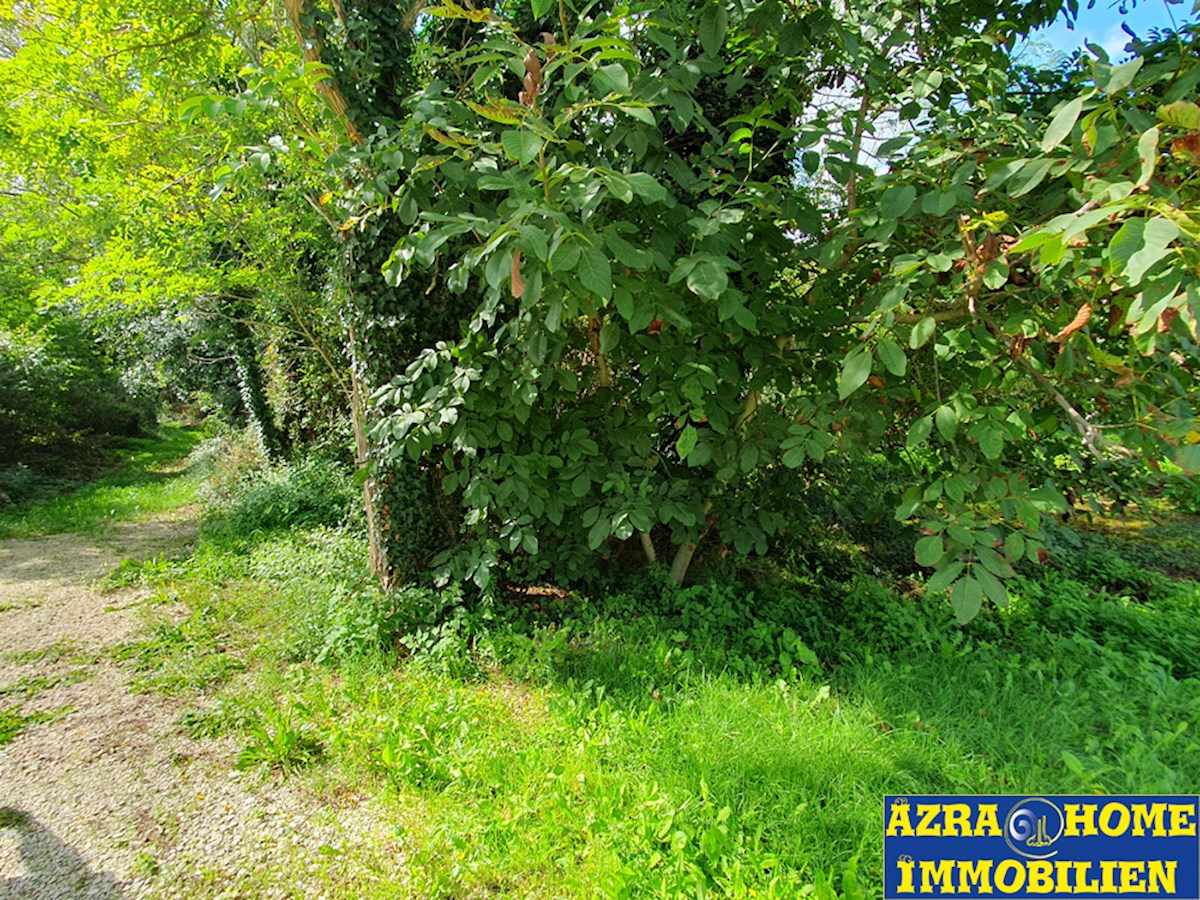 Gradbeno zemljišče 4.310 m² z dodatnim kmetijskim zemljiščem 1.378 m² v Muntrilju pri Tinjanu (Z-663)