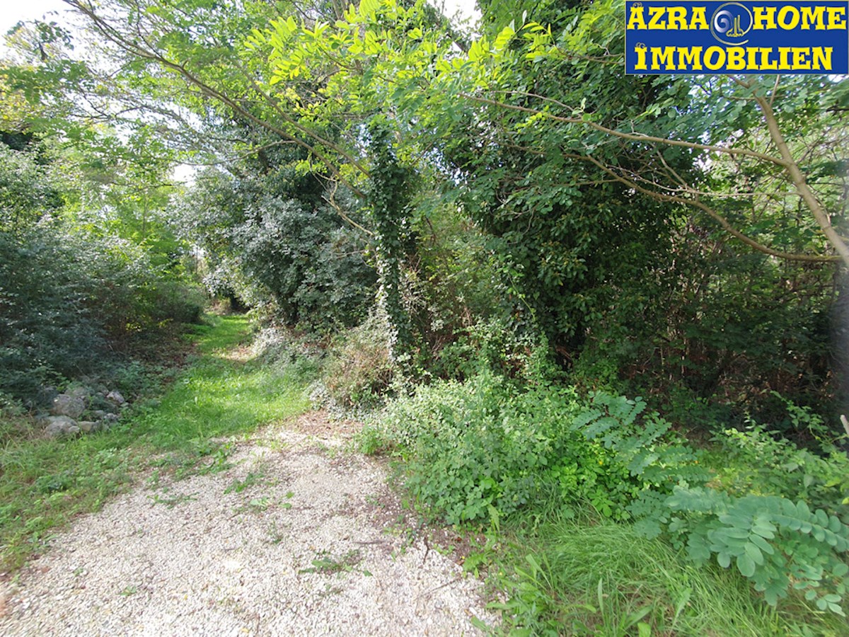 Gradbeno zemljišče 4.310 m² z dodatnim kmetijskim zemljiščem 1.378 m² v Muntrilju pri Tinjanu (Z-663)