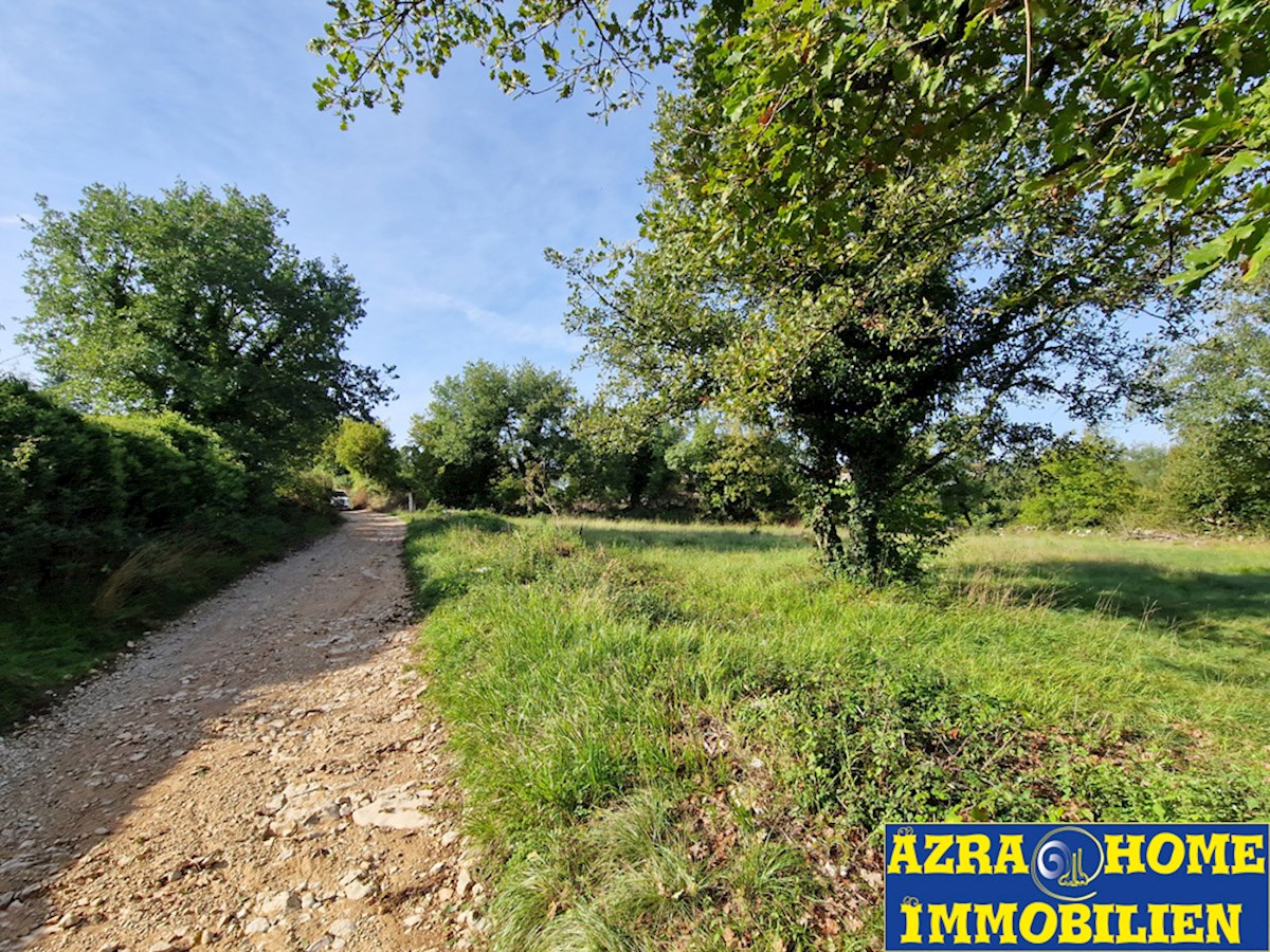 Gradbena parcela s priključkom na vodo za prodajo v Rapavelu, 1123 m² (Z-664)
