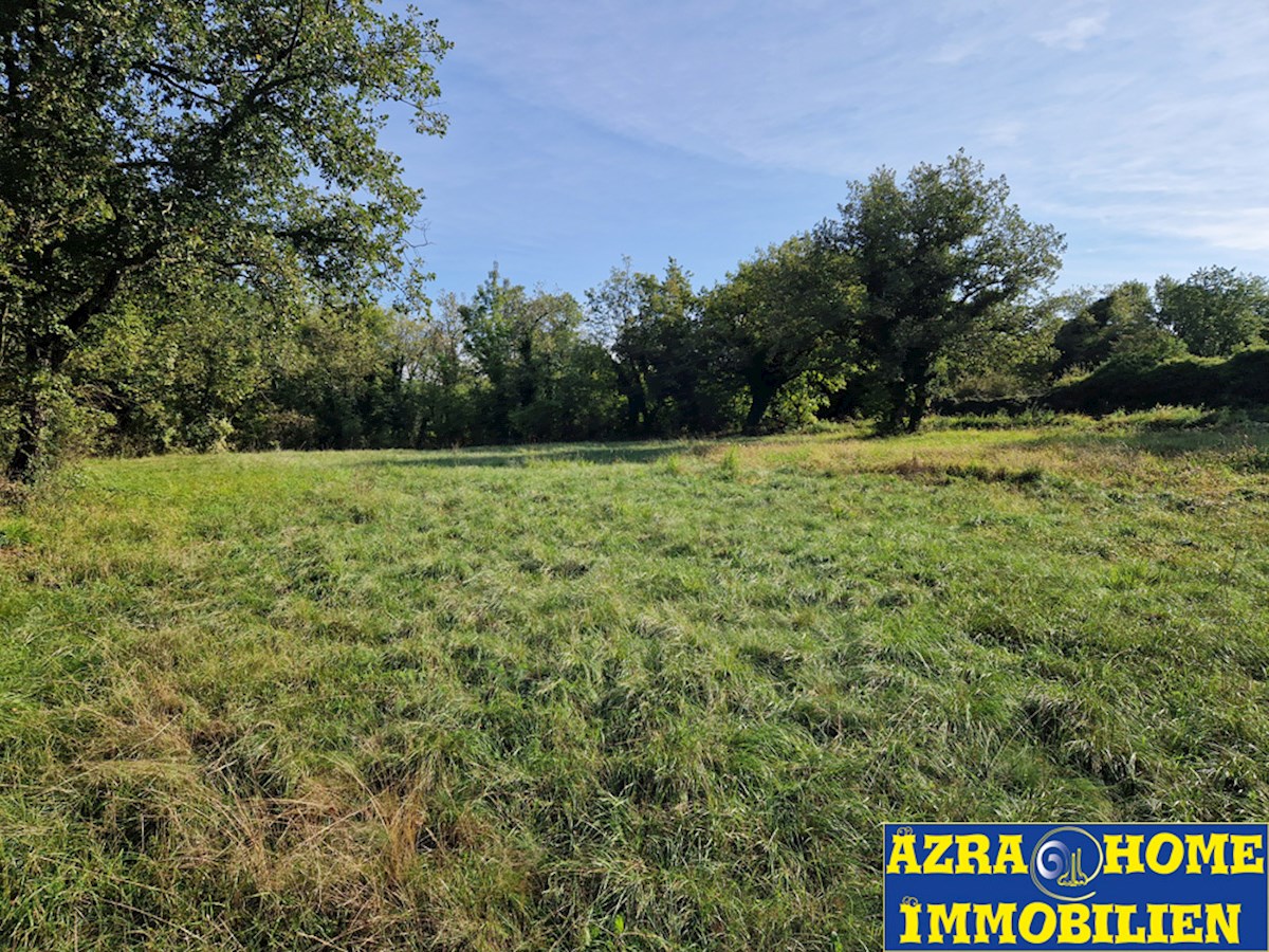 Gradbena parcela s priključkom na vodo za prodajo v Rapavelu, 1123 m² (Z-664)