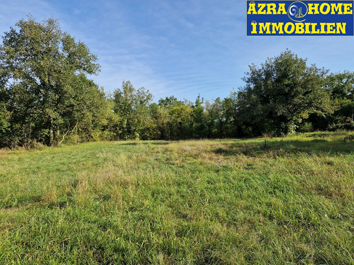Gradbena parcela s priključkom na vodo za prodajo v Rapavelu, 1123 m² (Z-664)