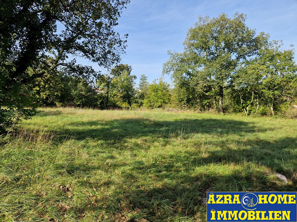 Gradbena parcela s priključkom na vodo za prodajo v Rapavelu, 1123 m² (Z-664)