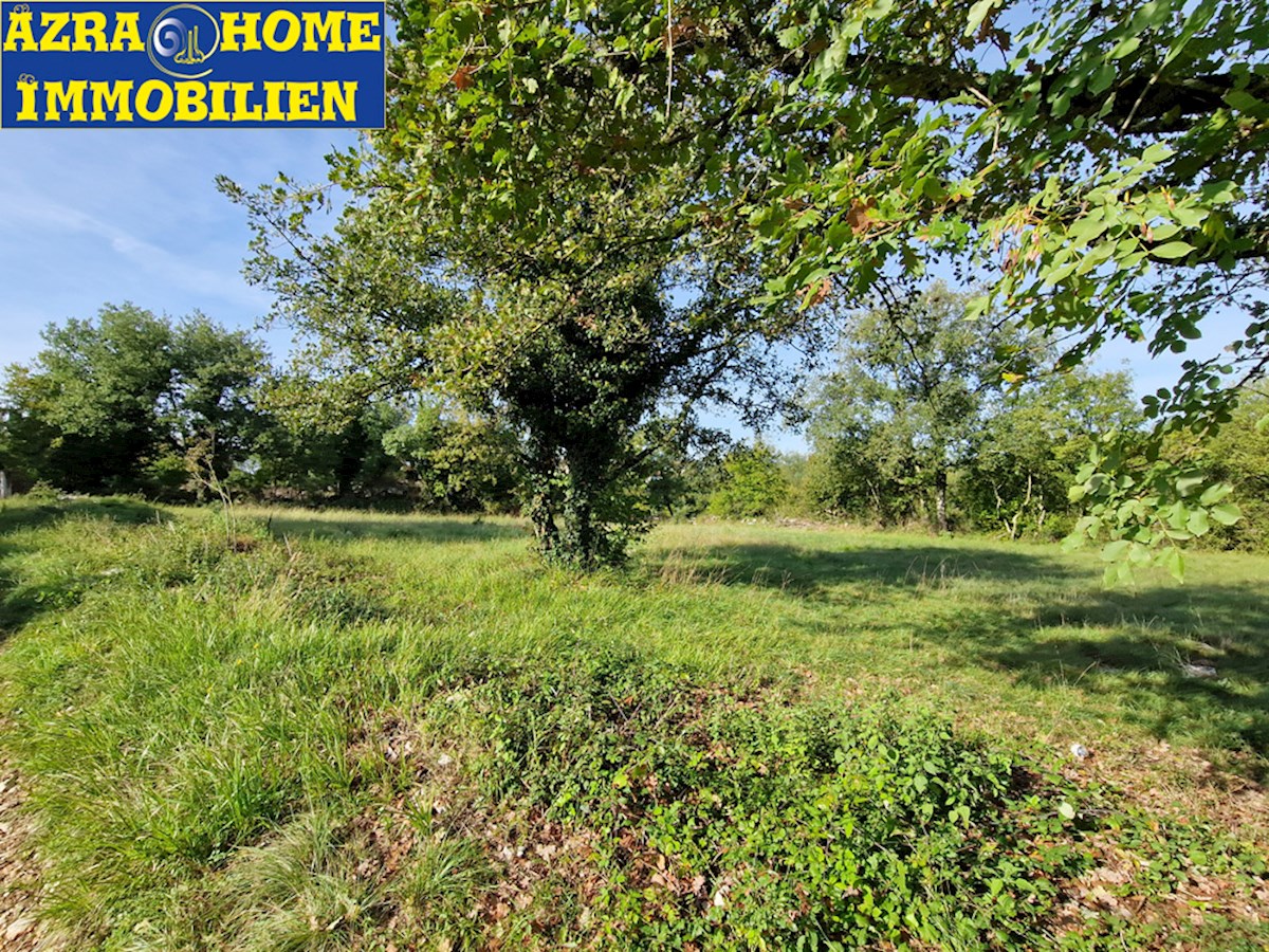 Gradbena parcela s priključkom na vodo za prodajo v Rapavelu, 1123 m² (Z-664)