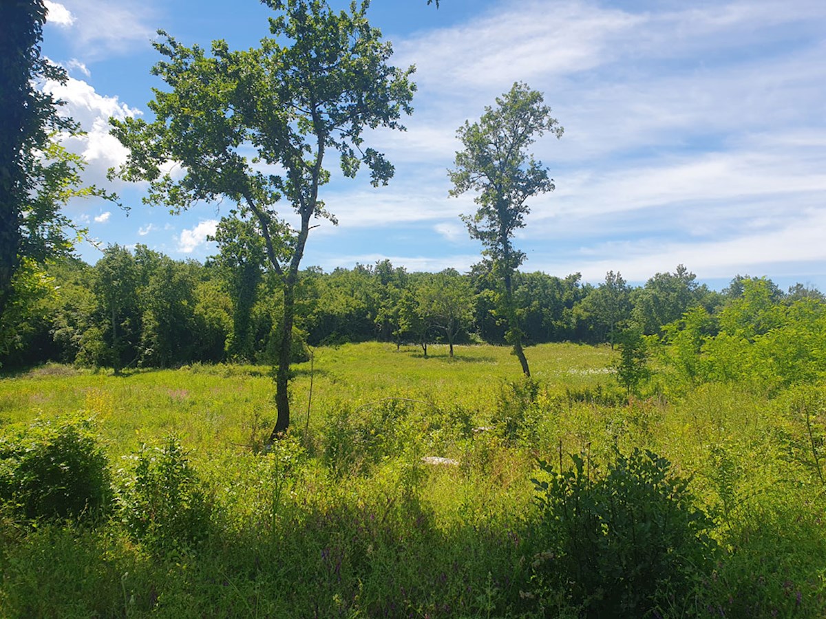 Prodaja, Medvidići, Stavbno zemljišče 802 m², Z-653