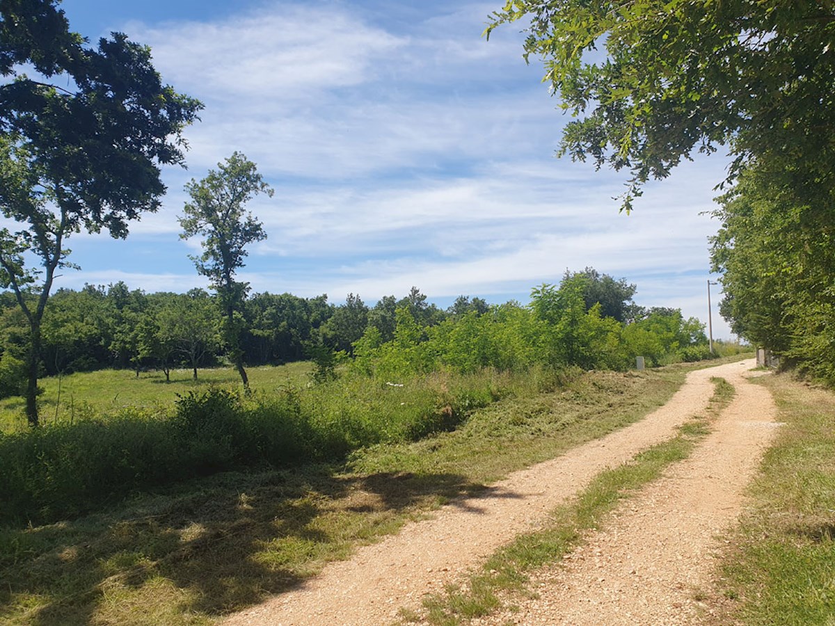 Prodaja, Medvidići, Stavbno zemljišče 802 m², Z-653