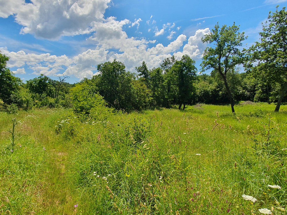 Prodaja, Medvidići, Stavbno zemljišče 802 m², Z-653