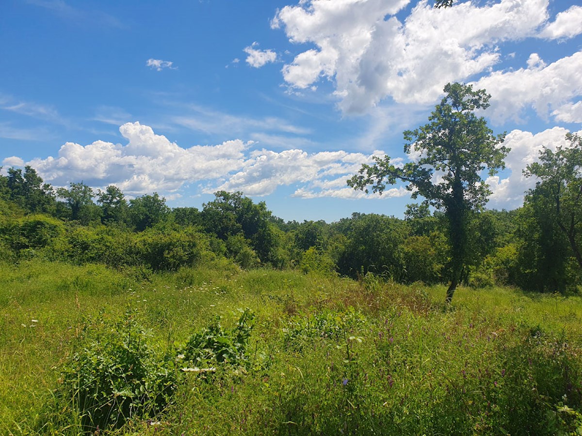 Prodaja, Medvidići, Stavbno zemljišče 802 m², Z-653