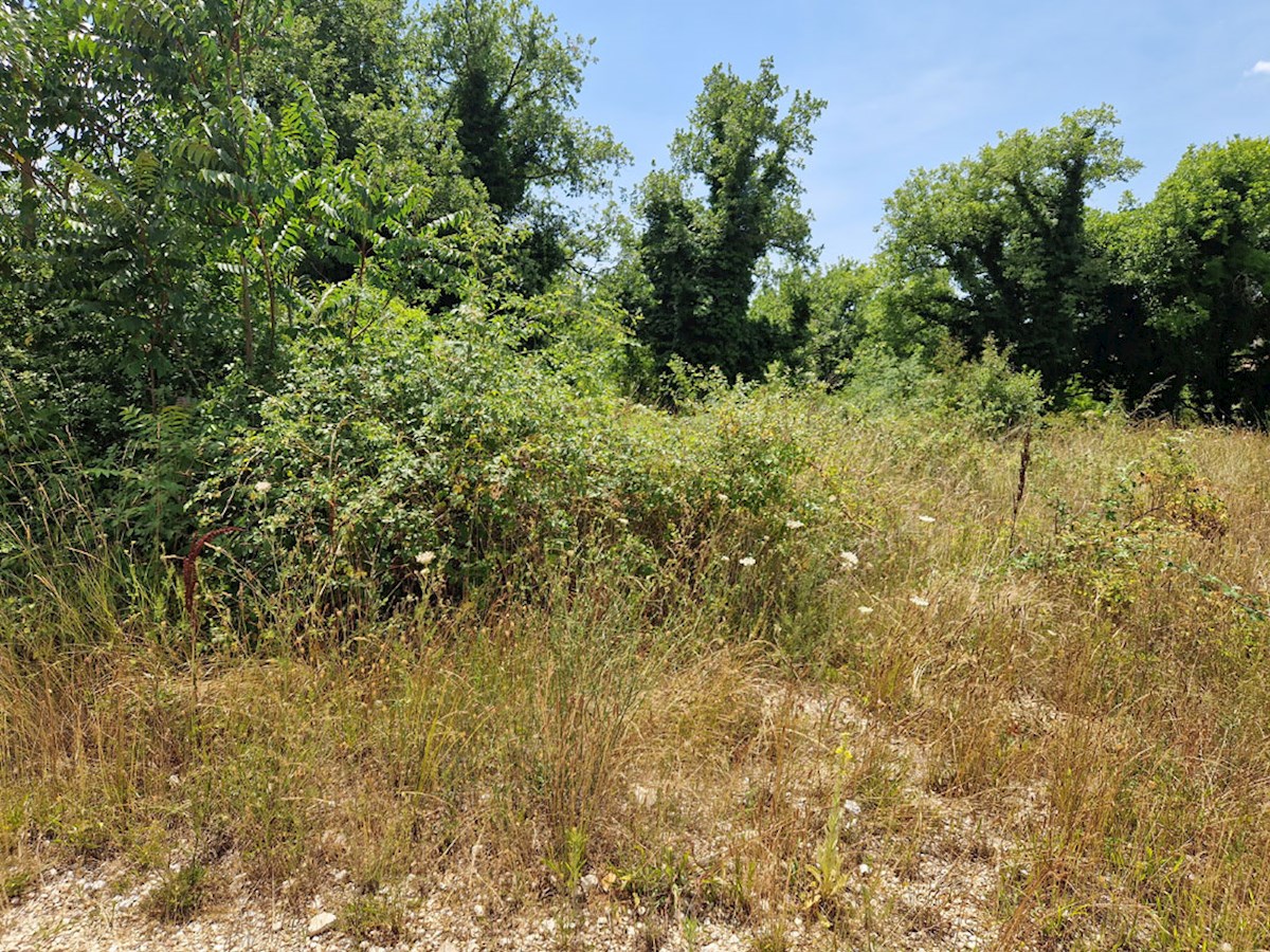 Z-646, RAPAVEL pri Višnjanu, stavbno zemljišče na mirni lokaciji 503 m2