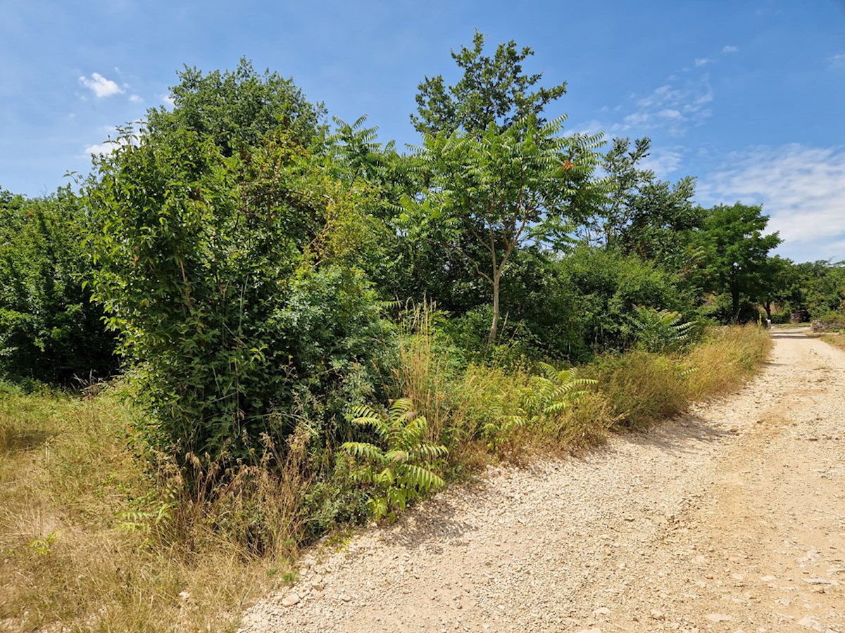 Z-646, RAPAVEL pri Višnjanu, stavbno zemljišče na mirni lokaciji 503 m2