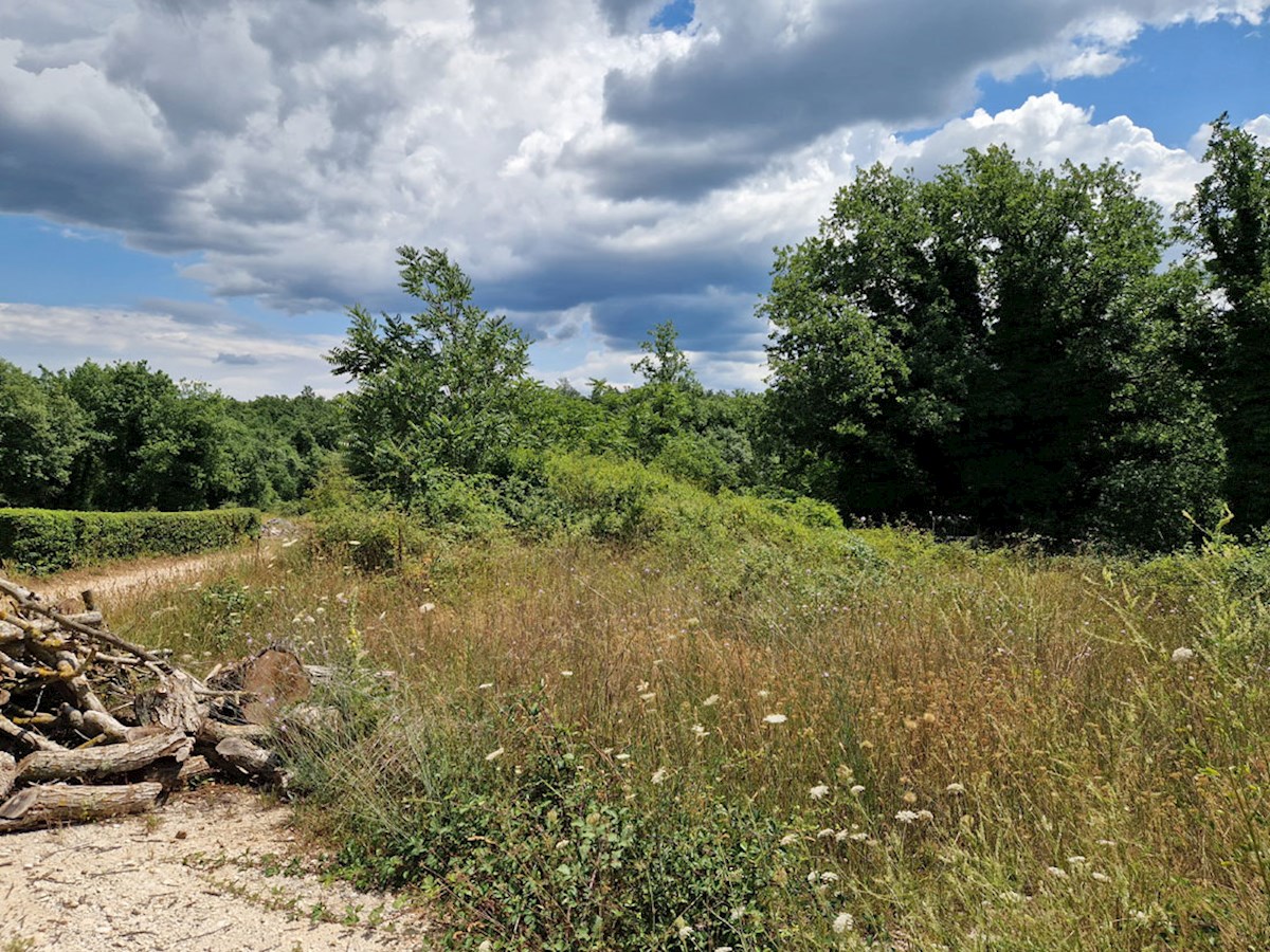 Z-646, RAPAVEL pri Višnjanu, stavbno zemljišče na mirni lokaciji 503 m2