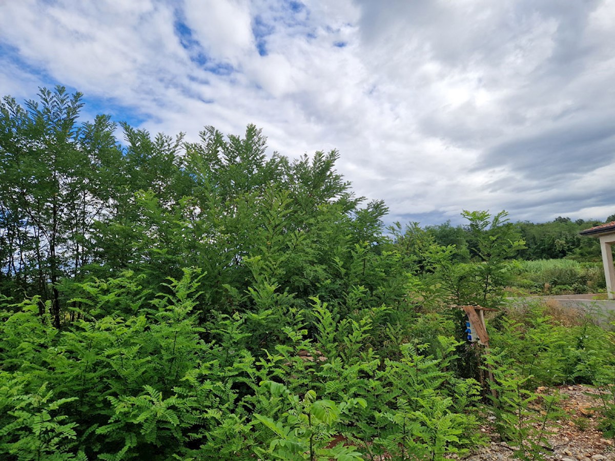 Z-659, Gradbena parcela – okolica Višnjana, 582 m²