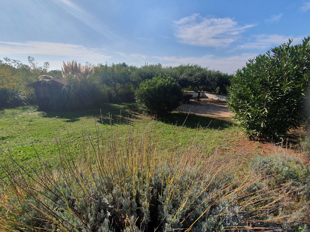 Prodaja, pritlična hiša s tremi spalnicami in bazenom v okolici Poreča, KOP-767