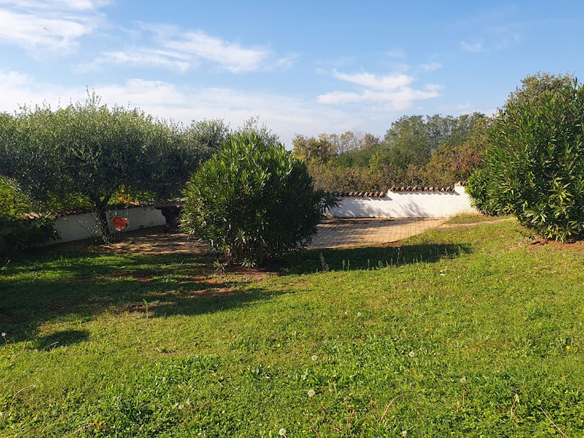 Prodaja, pritlična hiša s tremi spalnicami in bazenom v okolici Poreča, KOP-767