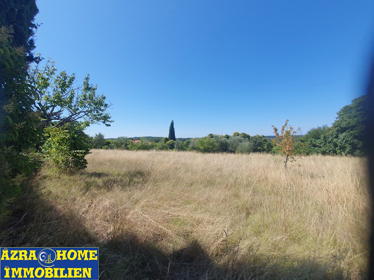 Naprodaj: Avtentične istrske kamnite hiše, 360 m² bivalne površine z 3866 m² zazidljivega zemljišča, le 5 km od Žminja (KRZ-001)