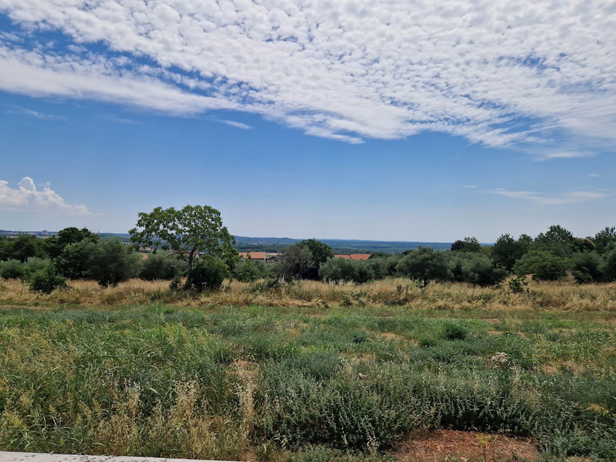Prodaja, Kaštelir – Pritlična hiša na mirni lokaciji, v gradnji (KOP-770-B)