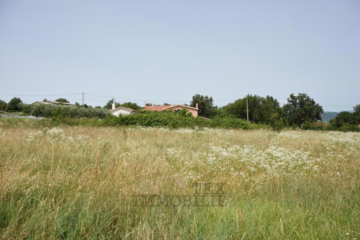 Zemljišče s pogledom na Motovun