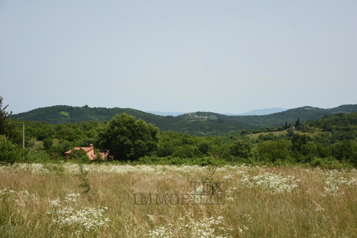 Zemljišče s pogledom na Motovun