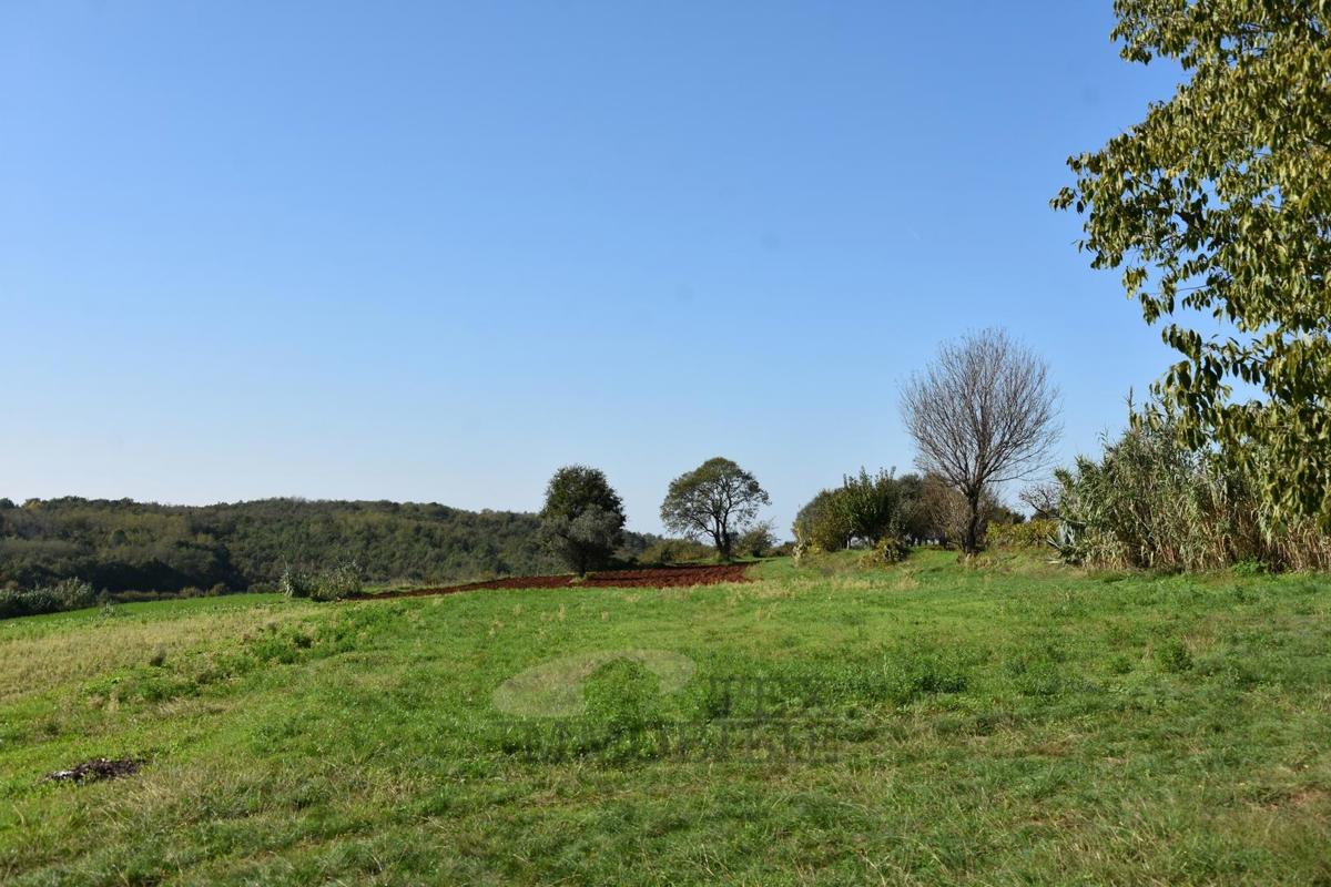 Stavbno zemljišče Vižinada, 879m2