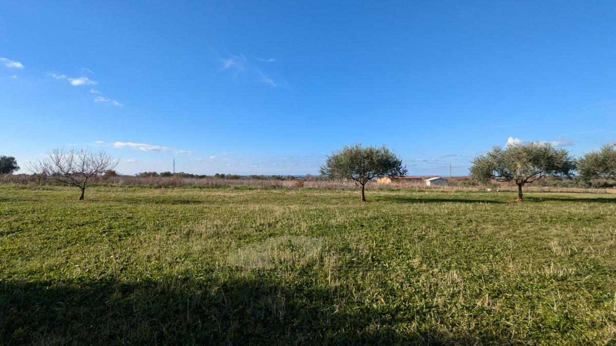Stavbno zemljišče Poreč, 1.500m2