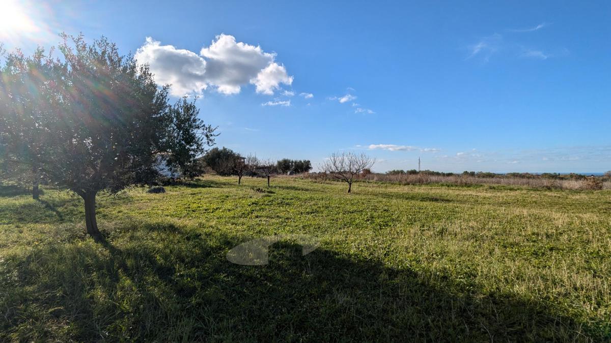 Stavbno zemljišče Poreč, 1.500m2