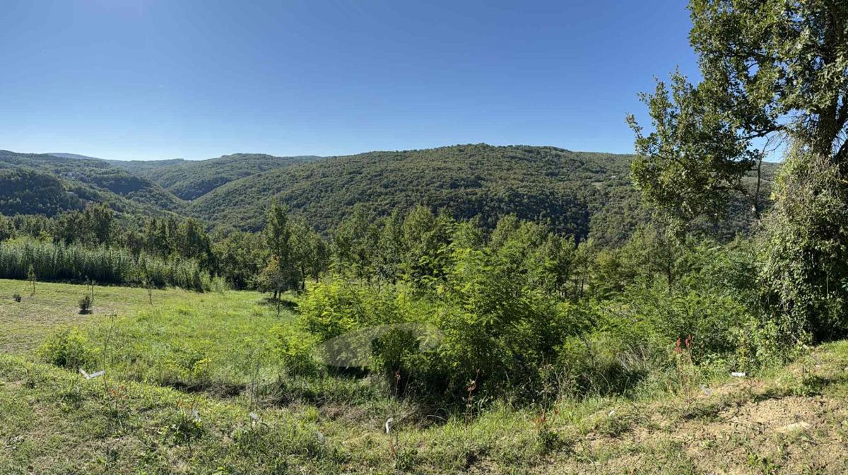 Zazidljivo zemljišče s pogledom na Motovun