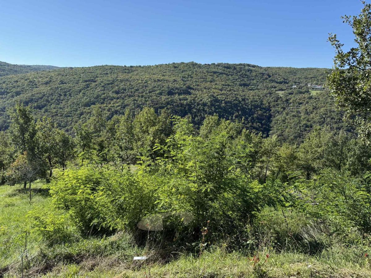 Zazidljivo zemljišče s pogledom na Motovun