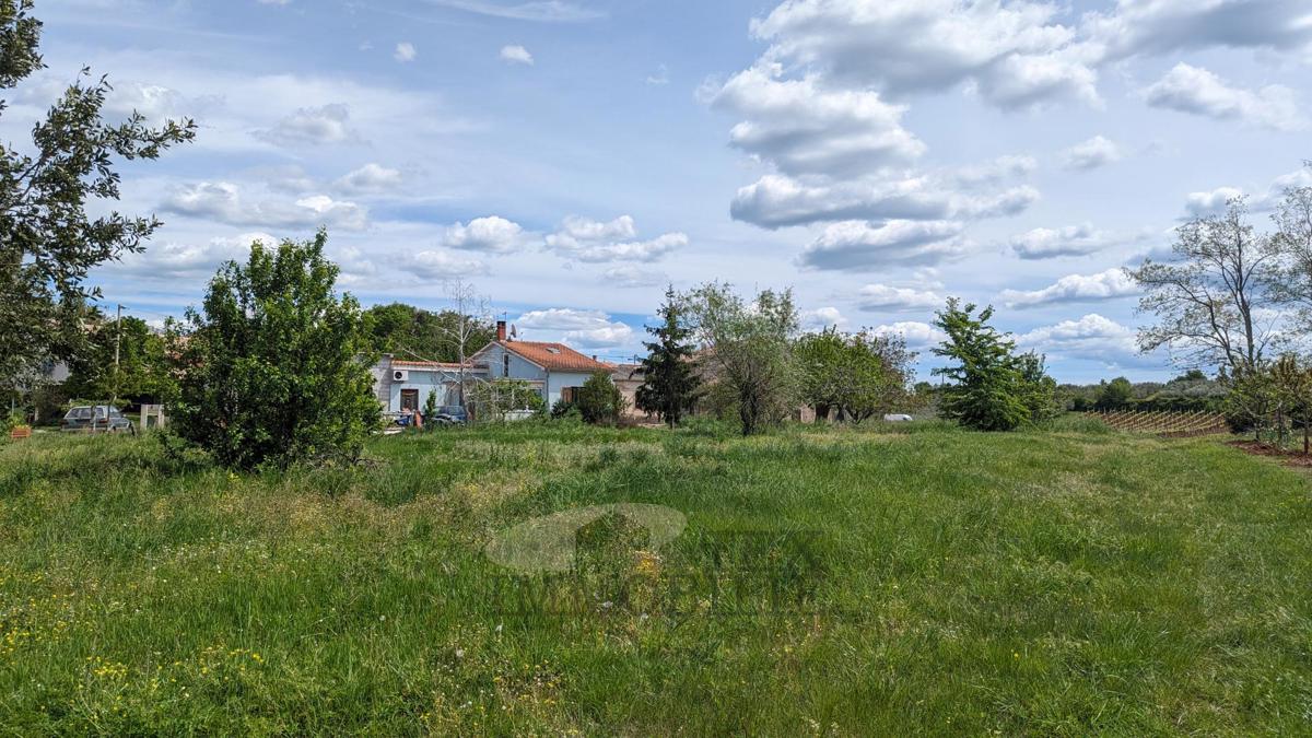 Kaštelir - gradbeno zemljišče za gradnjo vile