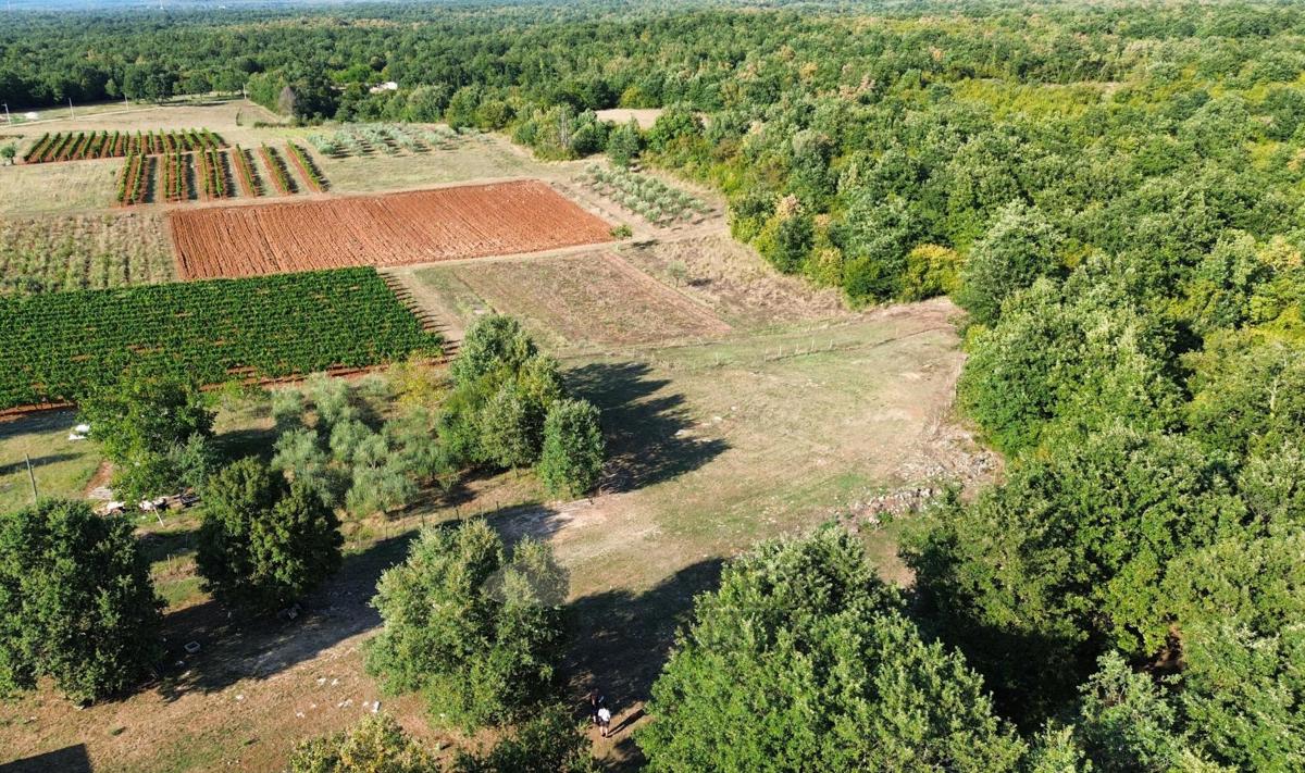 Zazidljivo zemljišče v okolici Svetog Lovreča