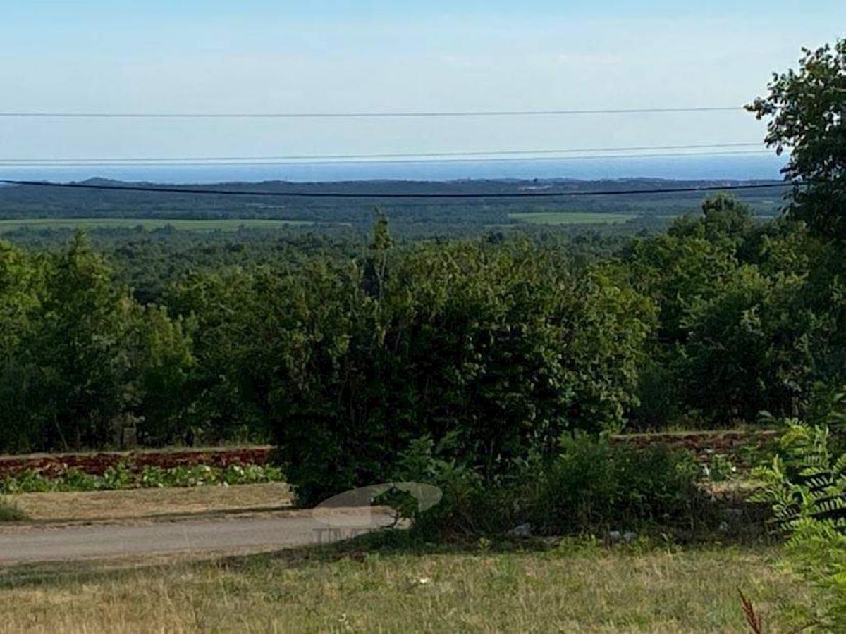 Zazidljivo zemljišče v Višnjanu s pogledom na morje 