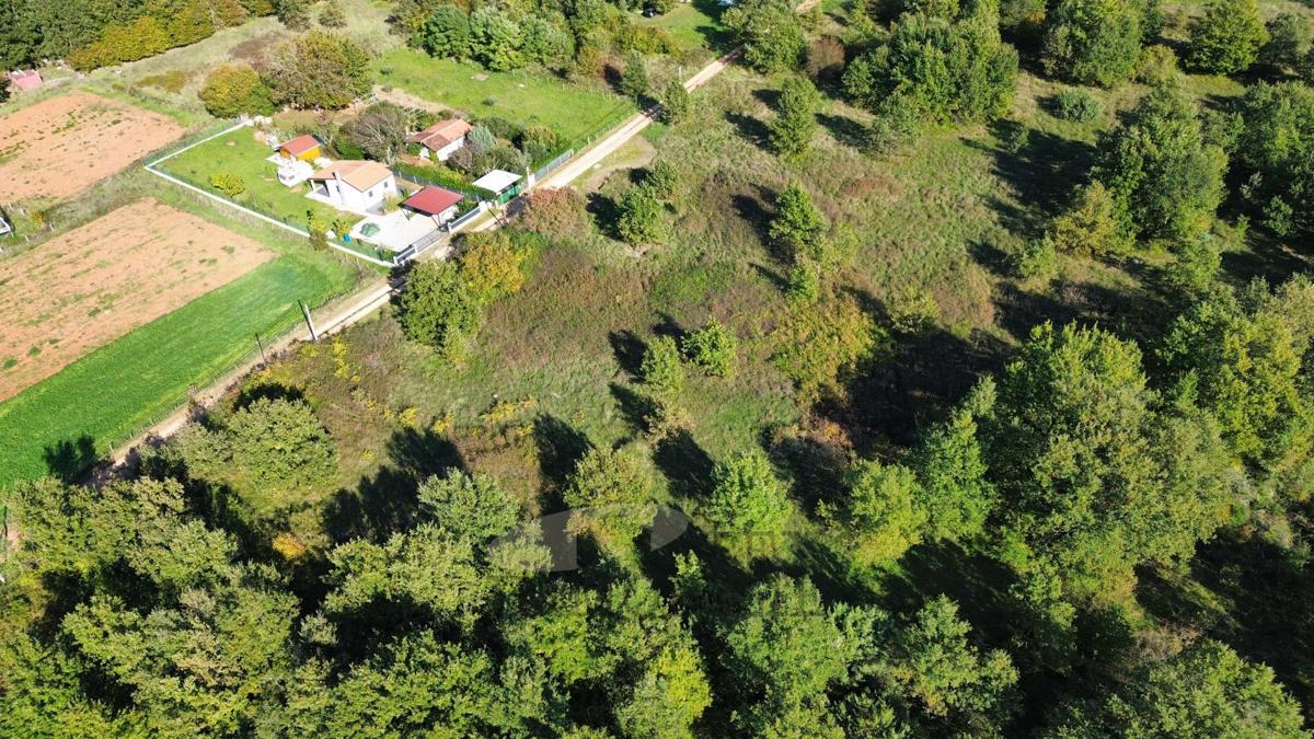 Kmetijska zemljišča Žbandaj, Poreč, 5.930m2