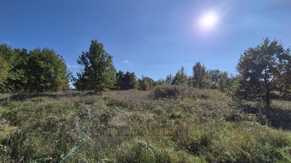 Kmetijska zemljišča Žbandaj, Poreč, 5.930m2