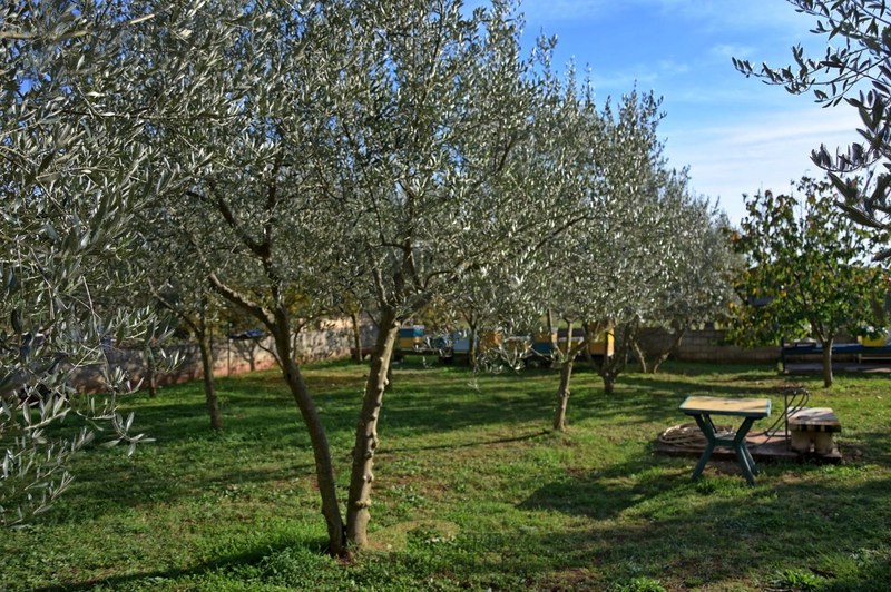 Hiša Poreč, 201 m2