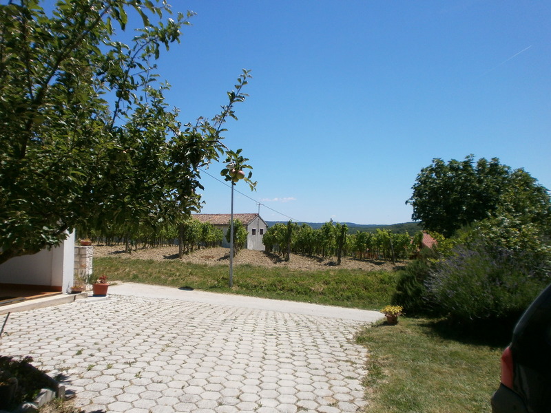 Hiša Poreč, 358m2