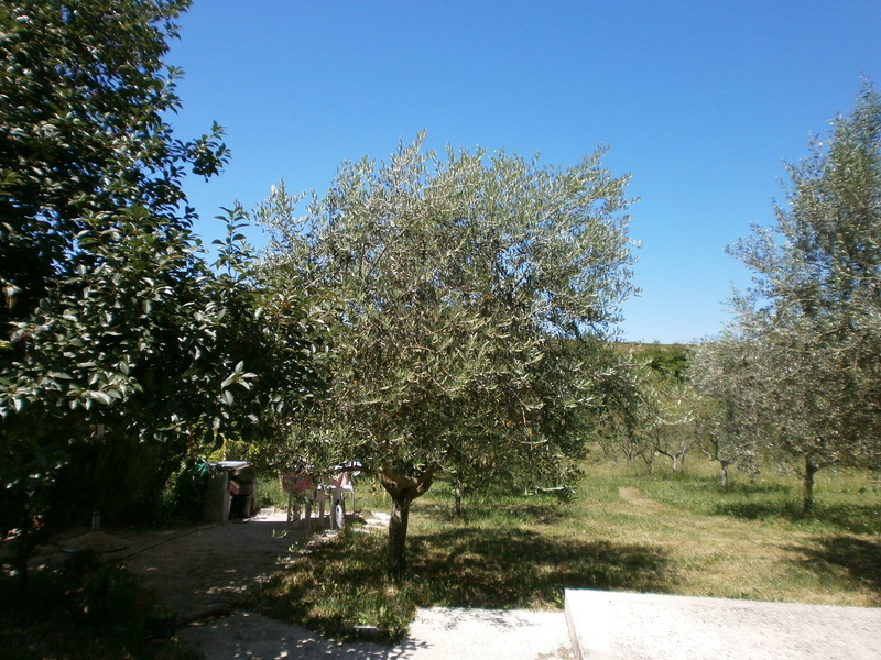 Hiša Poreč, 358m2