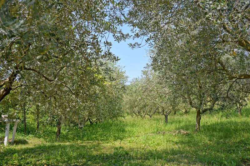 Hiša Poreč, 358m2