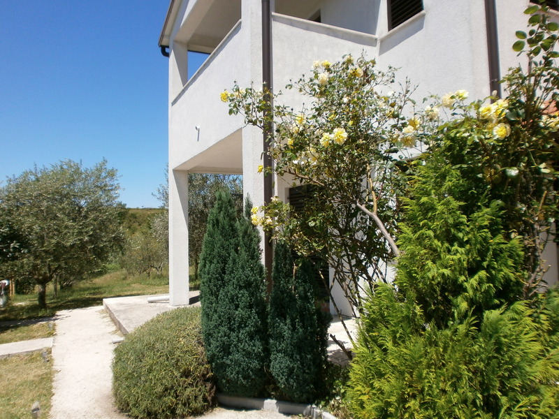 Hiša Poreč, 358m2
