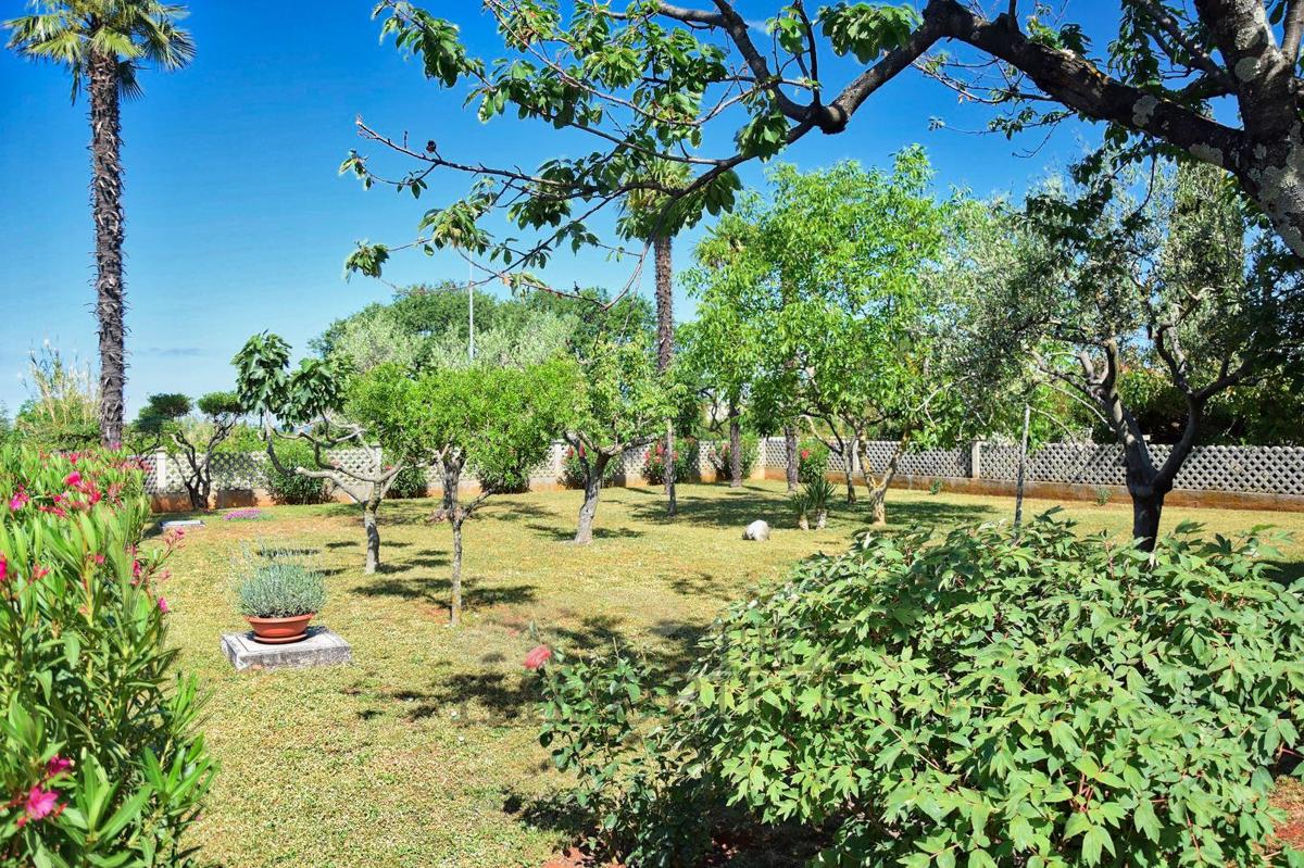 Hiša Poreč, 300m2