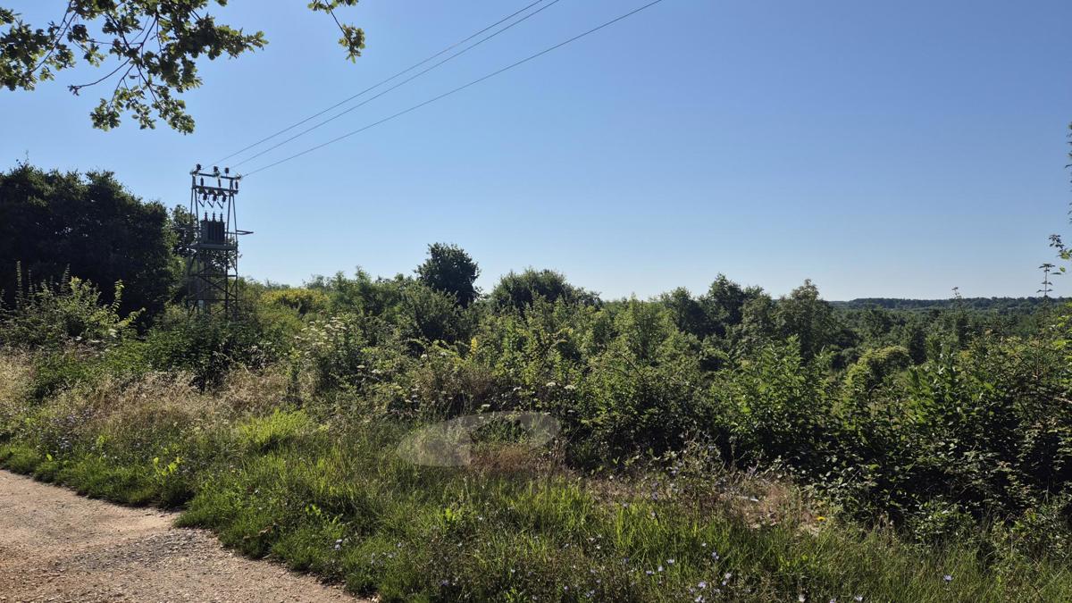 Poreč – Gradbeno in kmetijsko zemljišče, 28.700 m²
