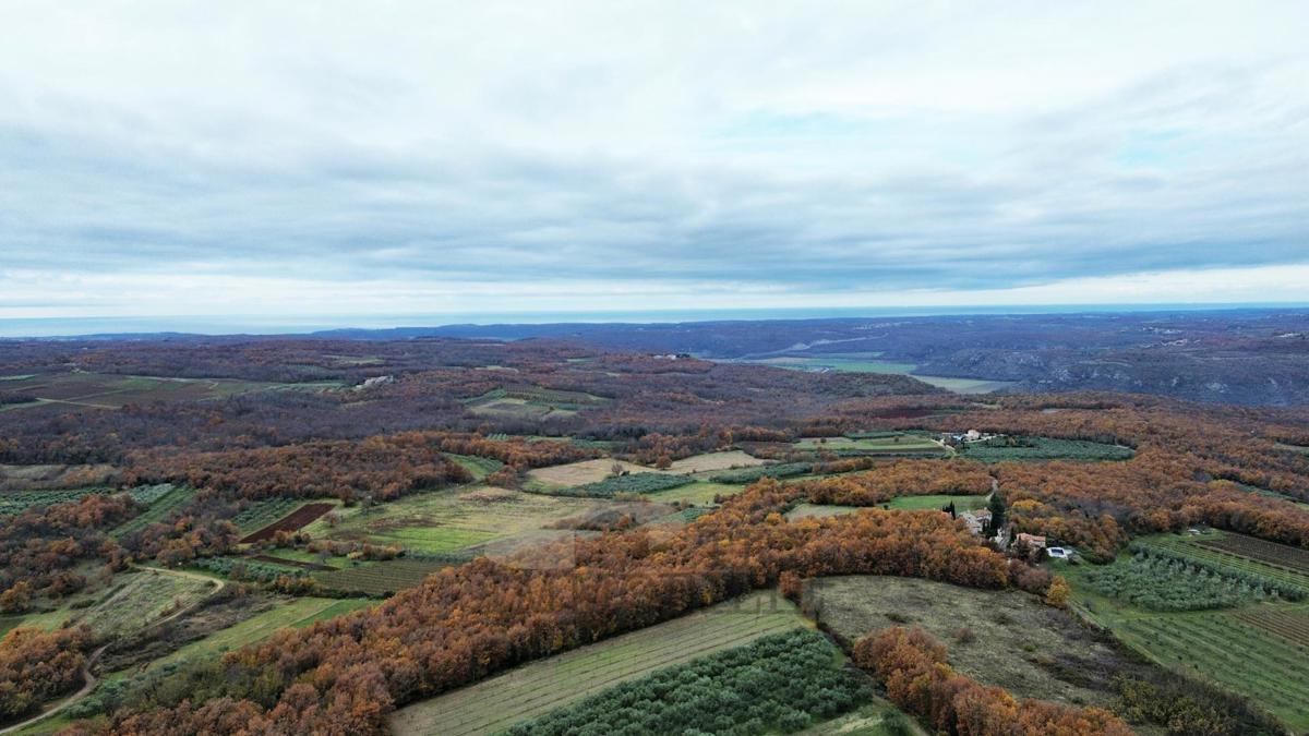 Zazidljivo zemljišče 970 m² – Vižinada, Istra