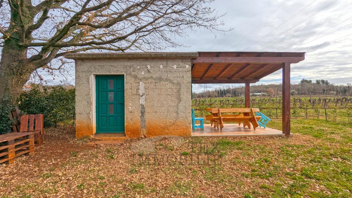 Kmetijsko zemljišče v Poreču – 18.000 m² z gospodarskim objektom