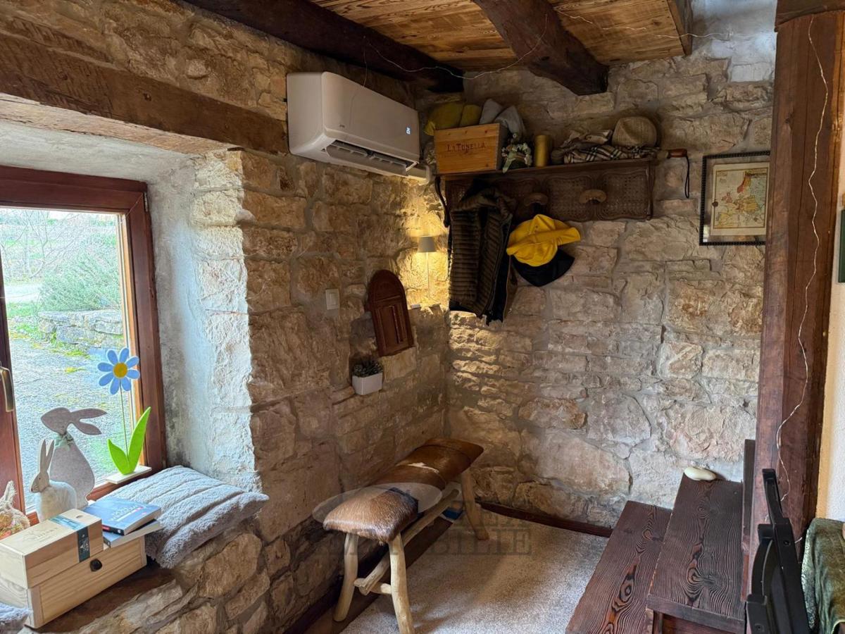 Sveti Petar u Šumi – Prenovljena istrska kamnita hiša z ograjenim dvoriščem