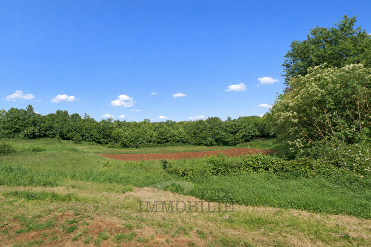 Stavbno zemljišče Sveti Lovreč, 964m2