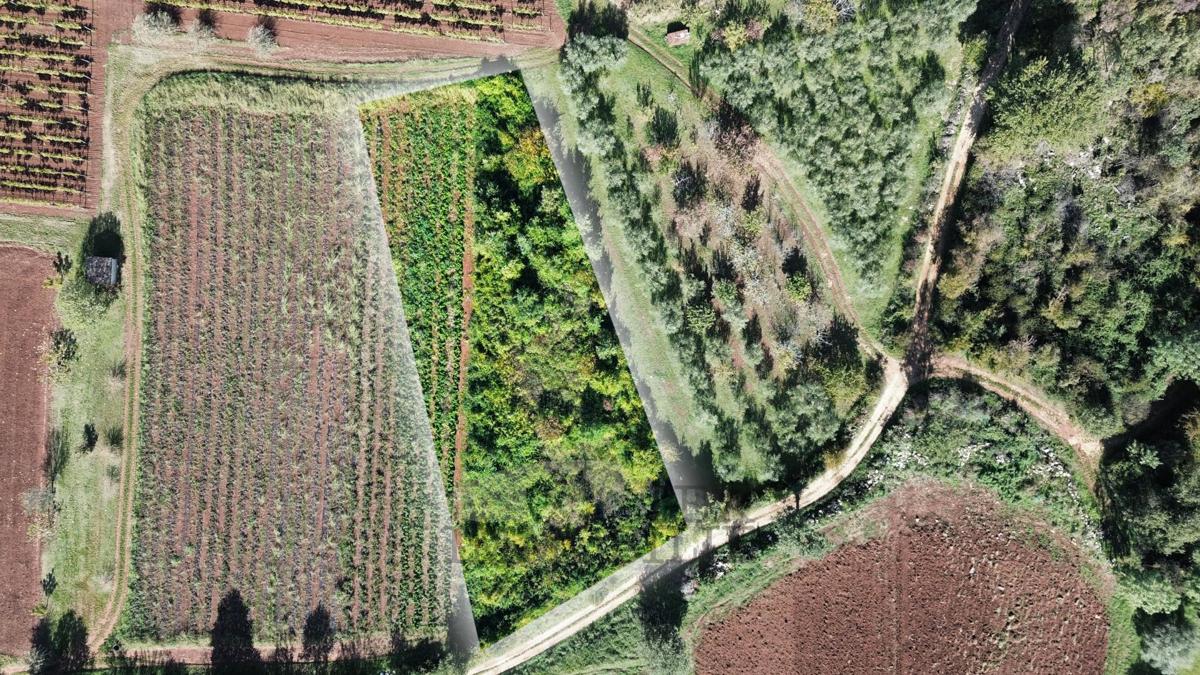 Kmetijska zemljišča Nova Vas, Poreč, 2.126m2